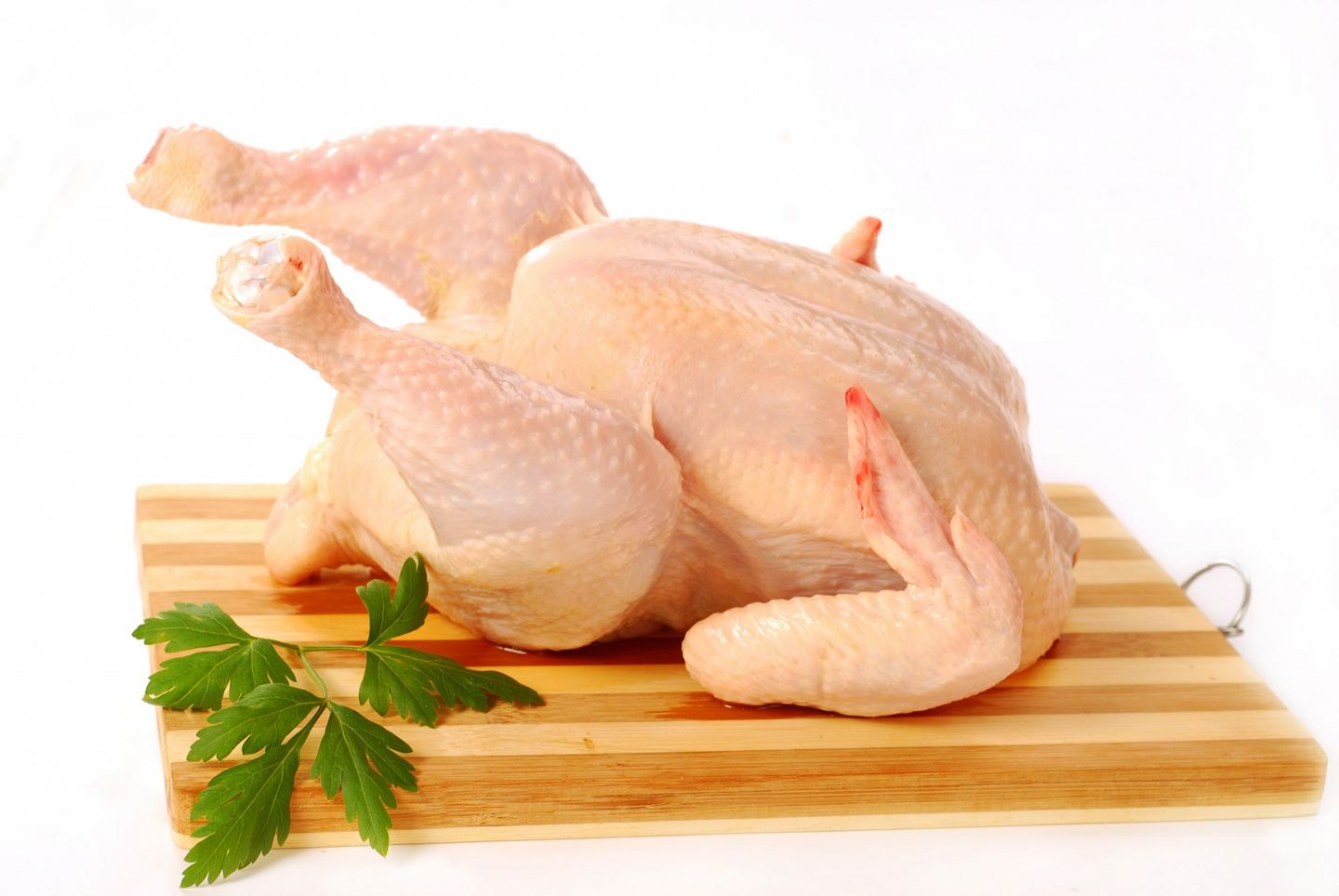 What’s In Your Pet’s Food?