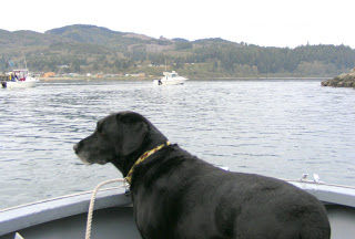 Fishing with Vee Dog