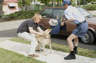 Image of blog post Review: Marley and Me