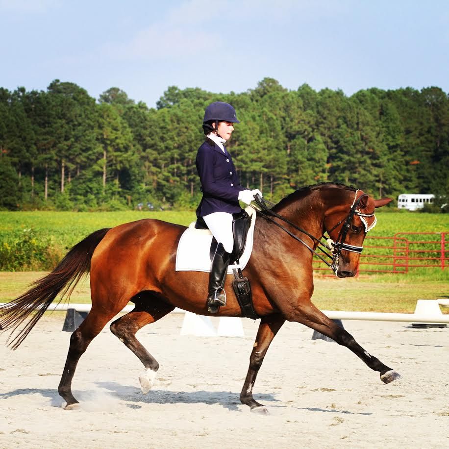 Meet The "Official Product Testers" Of Moore Equine Feed & Pet Supply