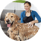 Self Service Dog Wash