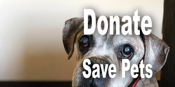 Image of blog post Does Your Rescue Need Donations?