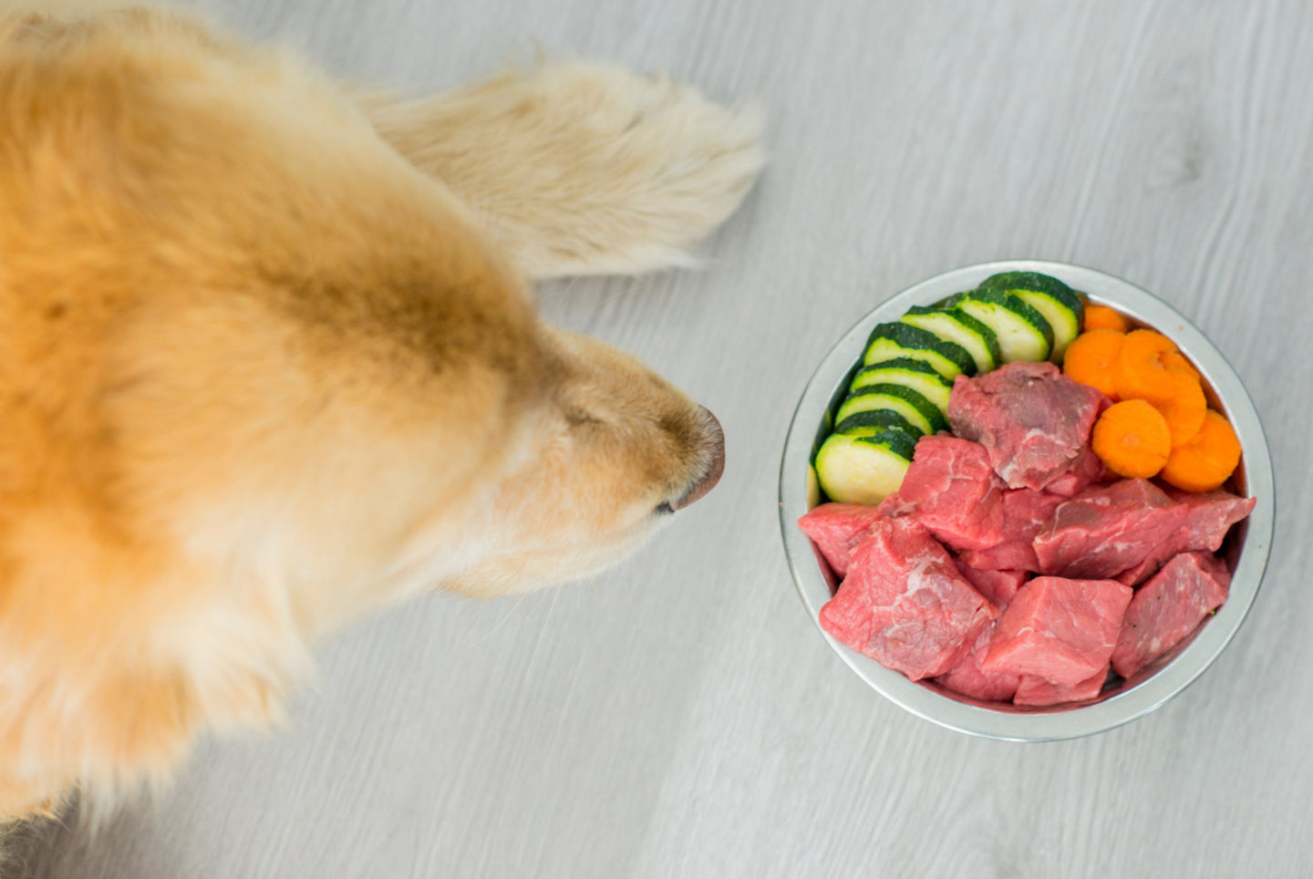 Image of blog post How Your Dog's Diet Affects Their Teeth