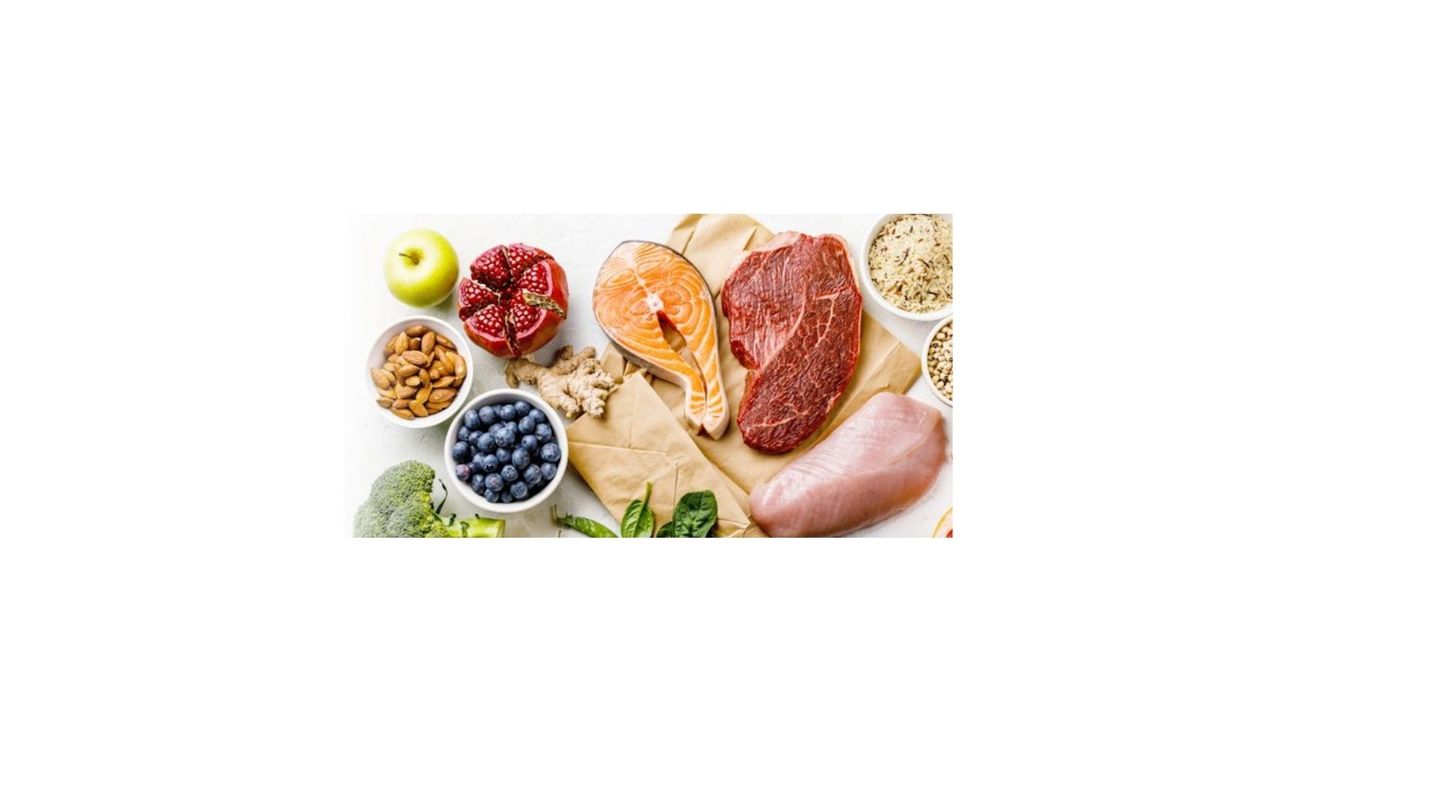 HOW TO PROLONG YOUR PET’S LIFE RODNEY HABIB & DR. KAREN BECKER