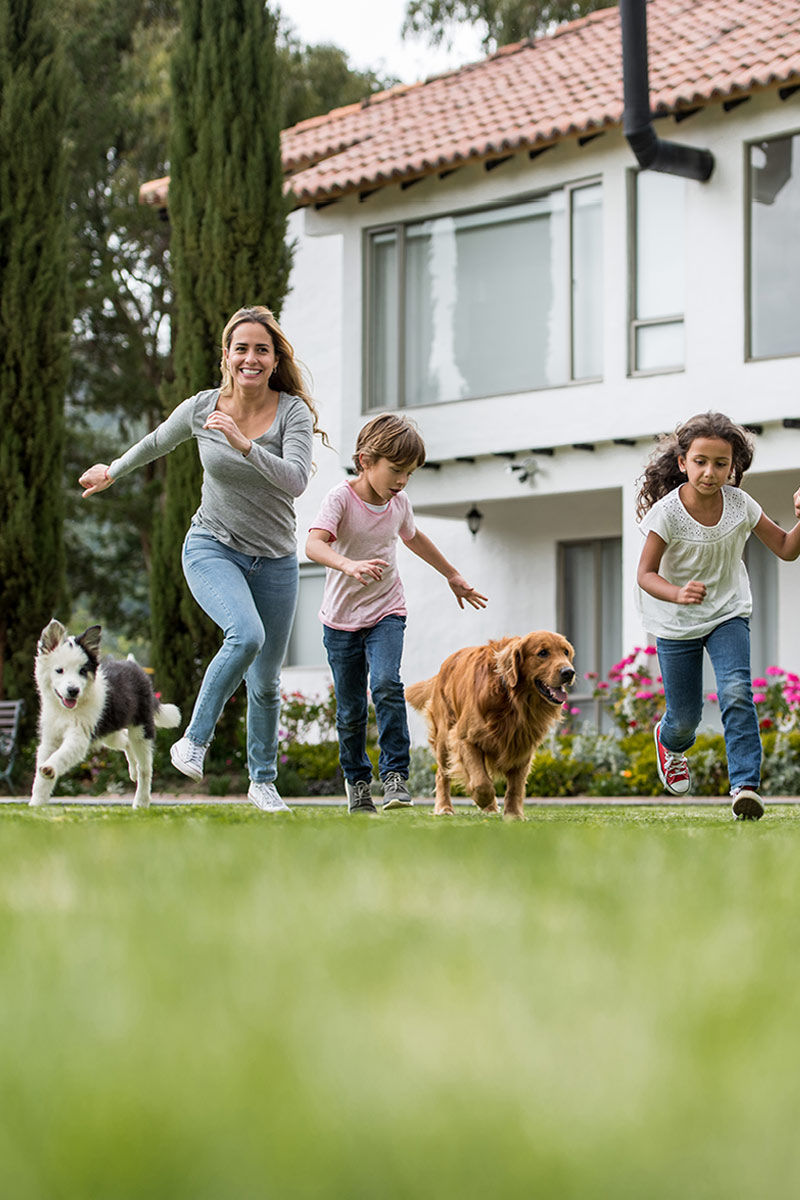 Woof Gang Bakery & Grooming Fleming Island