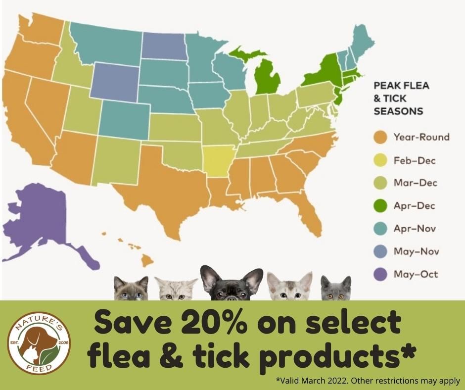 Be Prepared For Fleas & Ticks