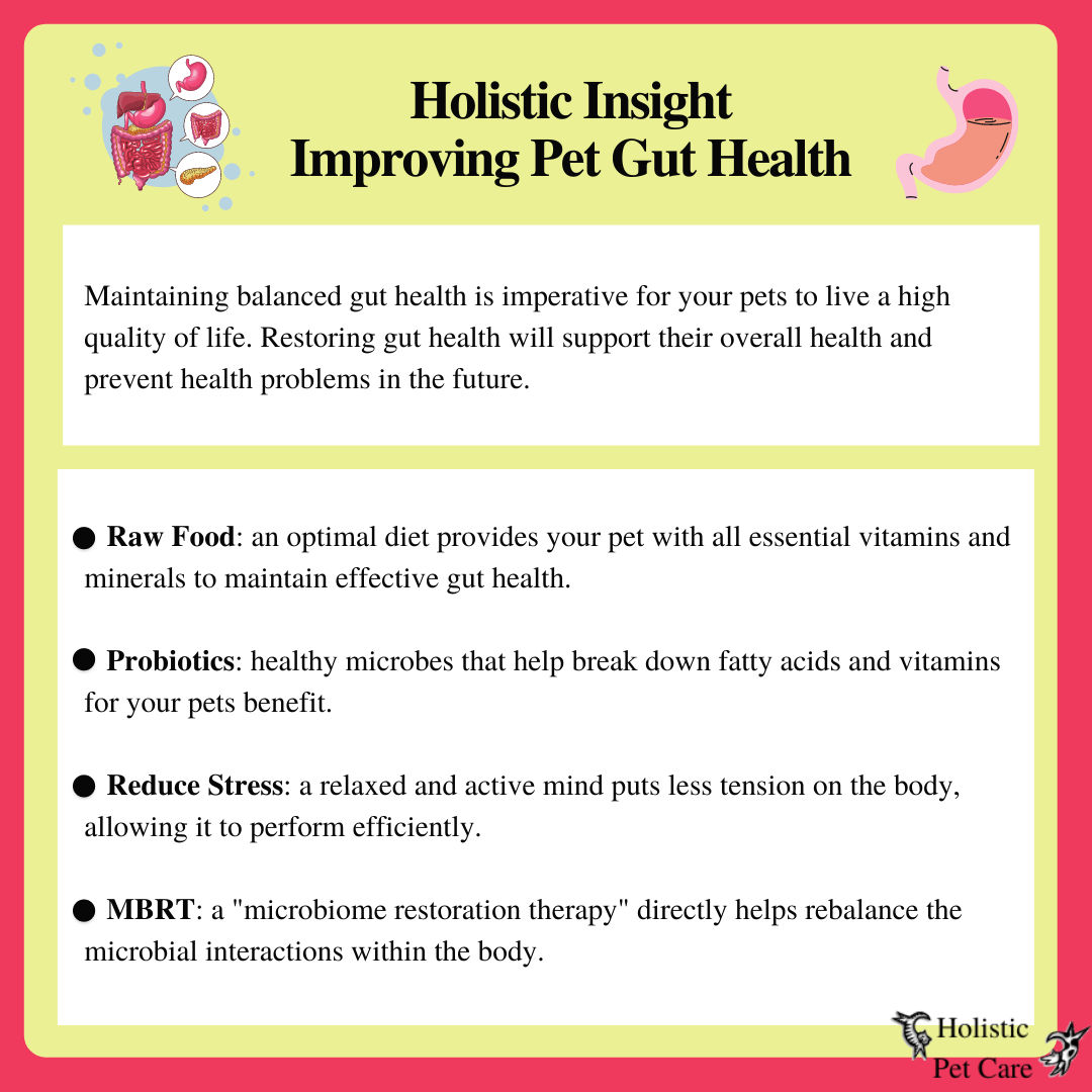 Gut Health Improvement