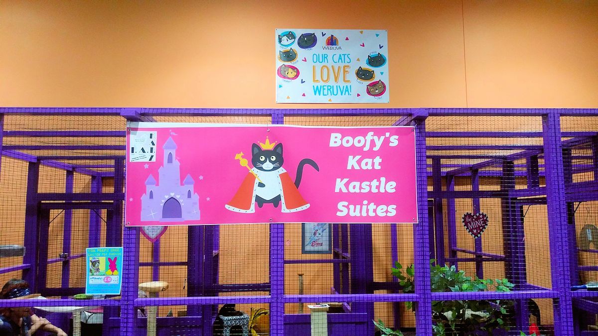 Boofy's Kat Kastle Suites