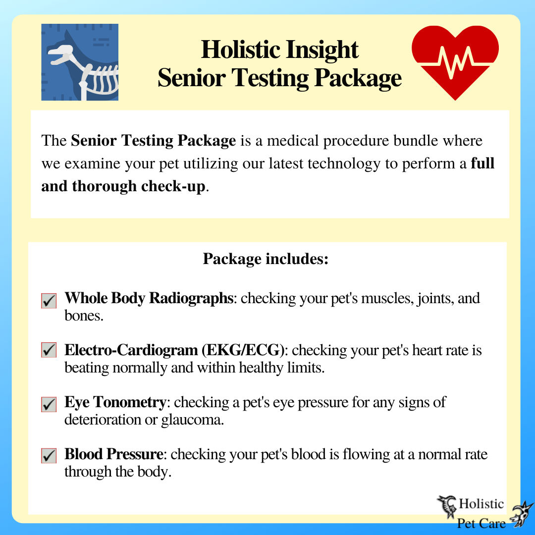 Senior Testing Package - Whippany, New Jersey