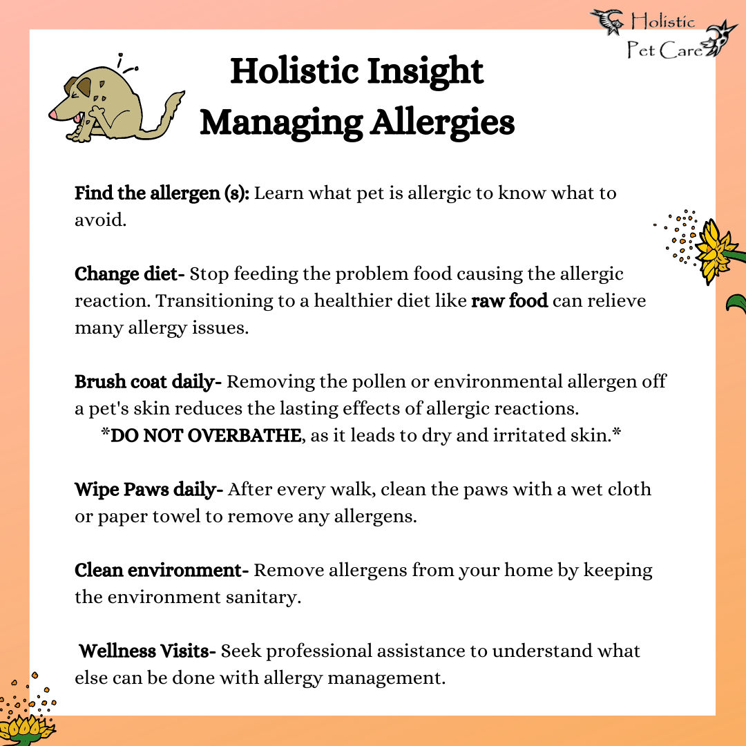 Managing Your Pet's Allergies