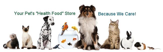 4 Natural Ways To Boost The Immune System