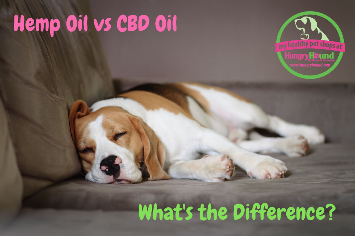 Hemp Seed Oil vs CBD Oil – What’s the Difference?
