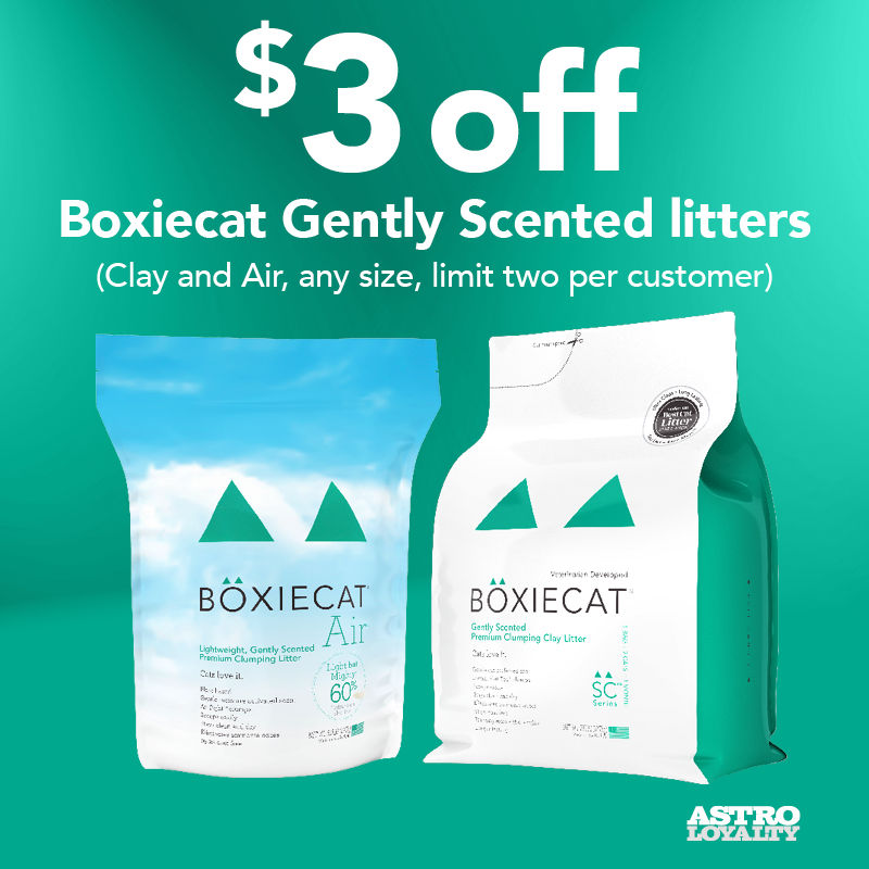 boxiecat petsmart