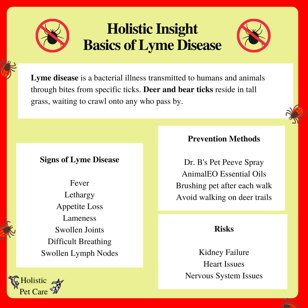Holistic Insight Lyme Disease Whippany, New Jersey