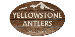 Yellowstone Antlers Salt Lake City