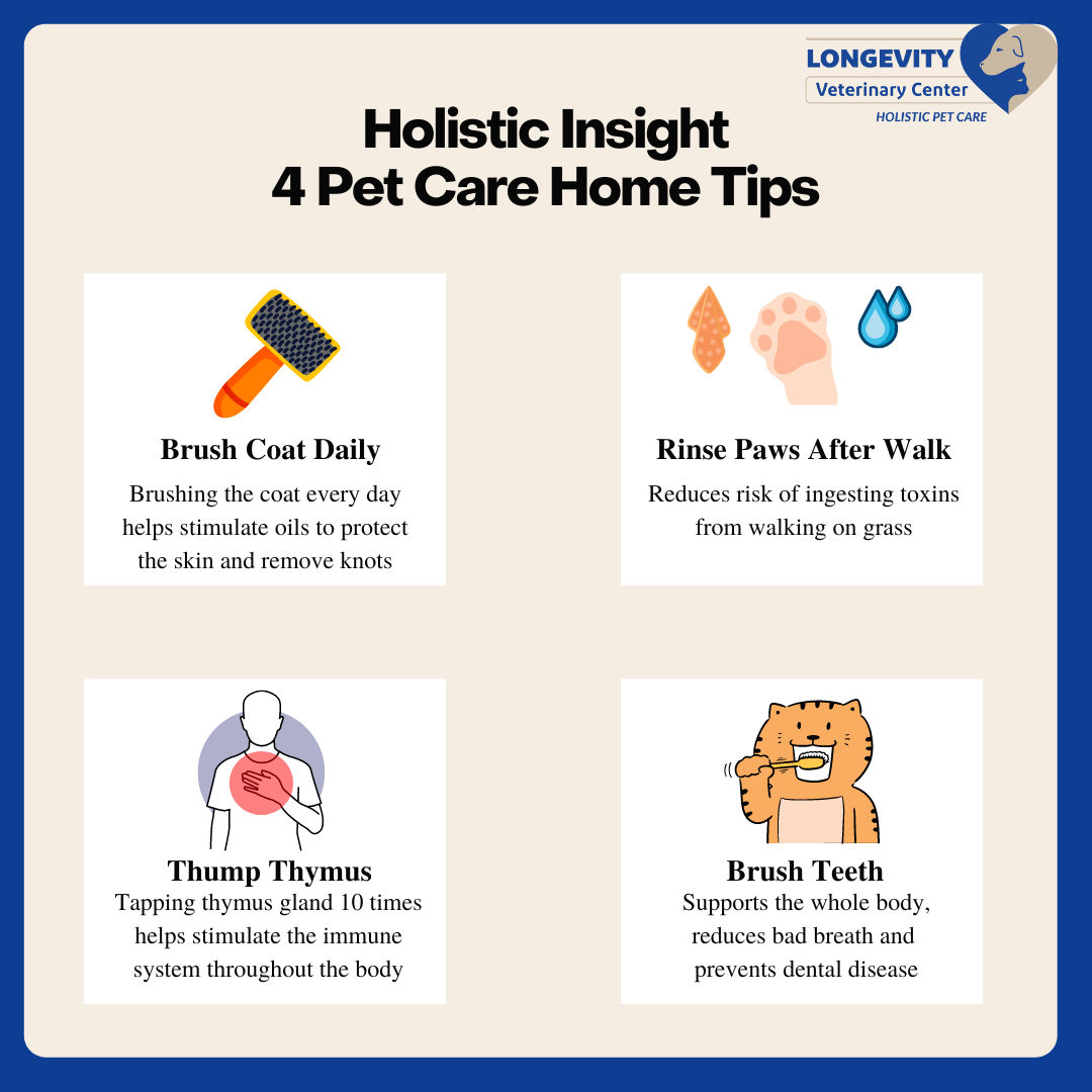 4 Pet Care Home Tips Whippany, New Jersey