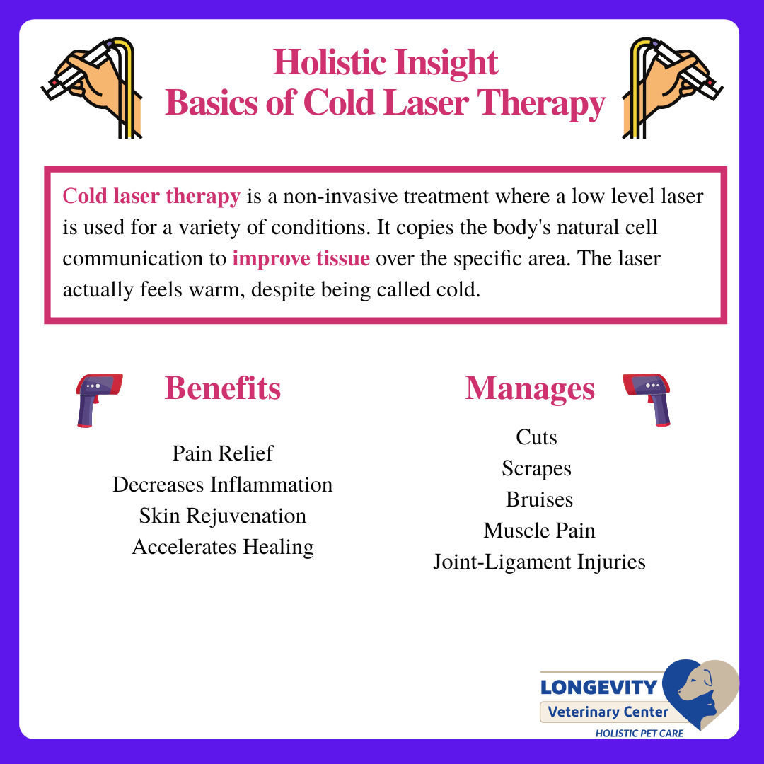 Image of blog post Cold Laser Therapy