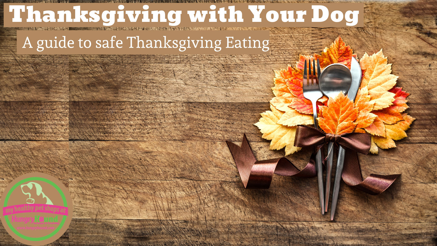 Thanksgiving With Your Dog