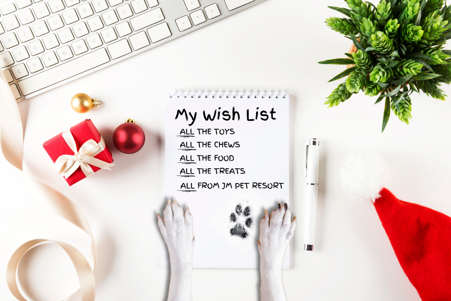 2022 Gift Guide for Cats, Dogs, and Pet Parents