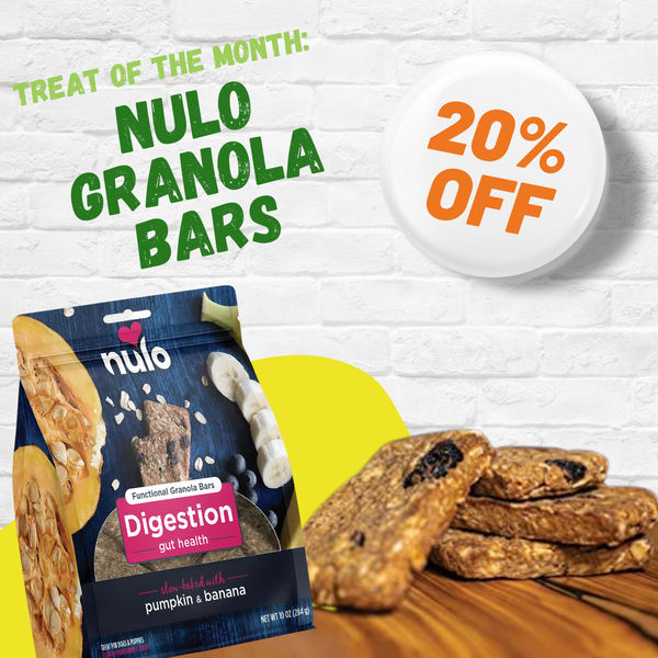 Treat Of The Month: Nulo Granola Bars Dallas, Texas - Main Image