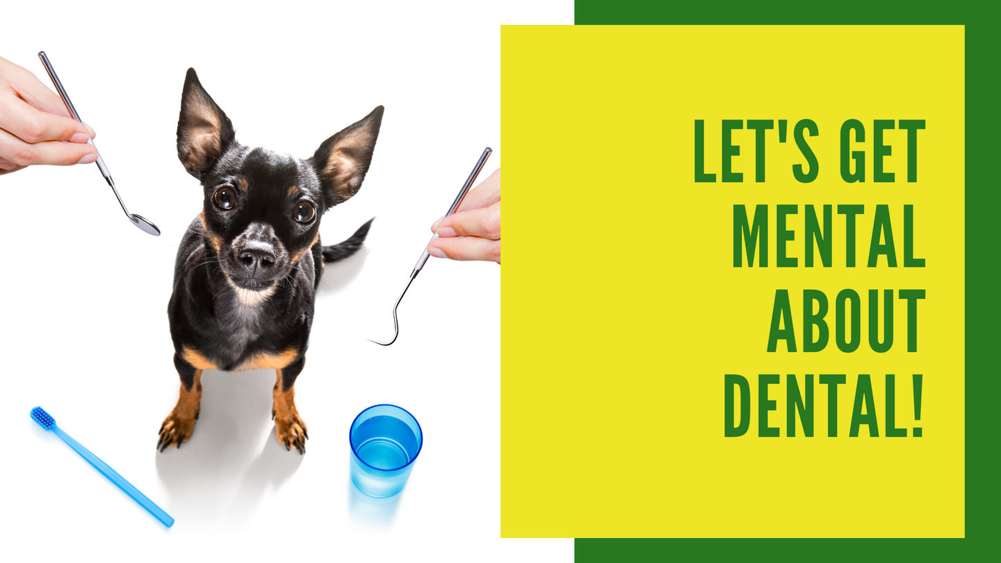 Let's Get Mental About Dental!