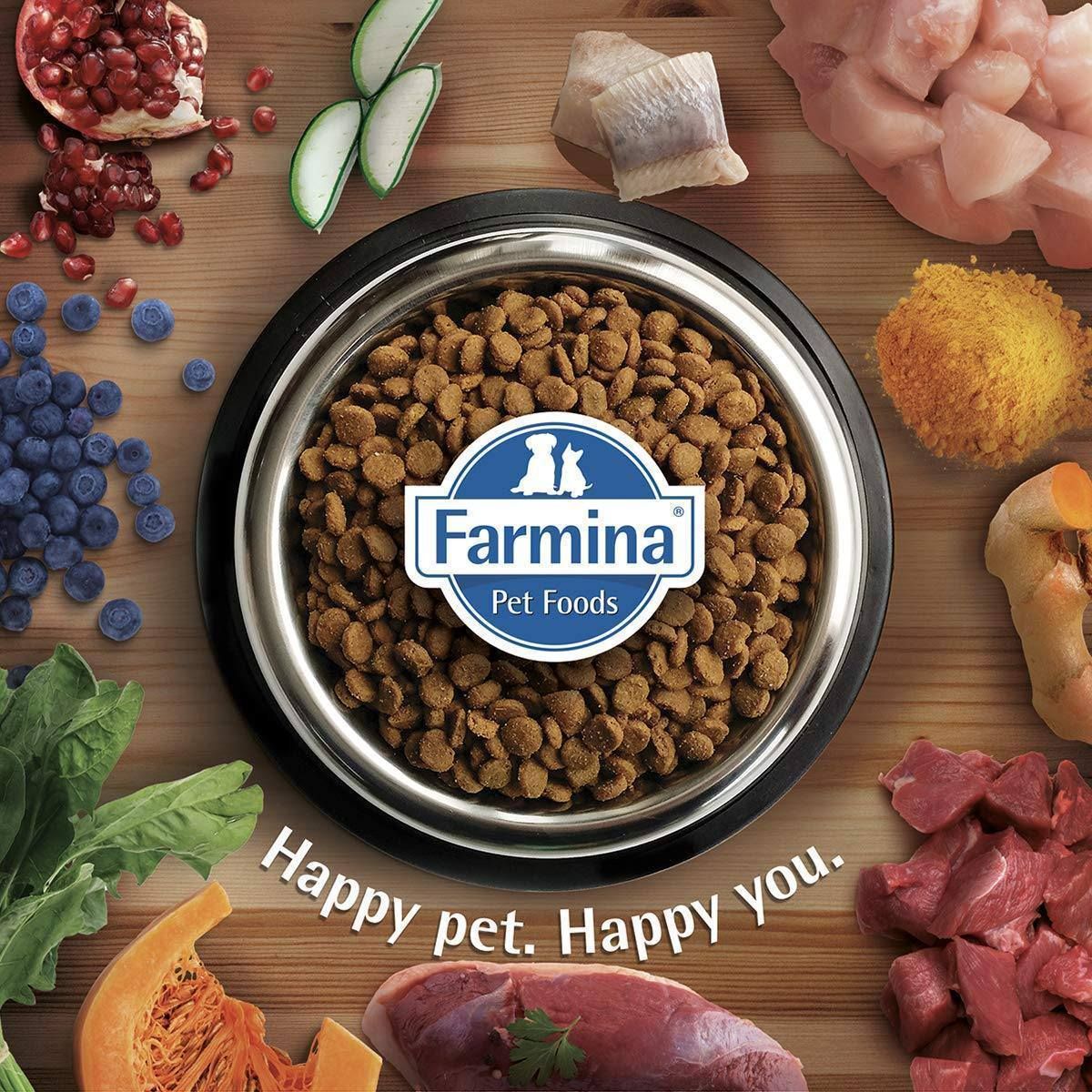 N&D Farmina Dog Food Review