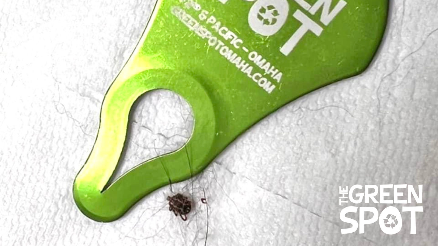 Flea & Tick Prevention