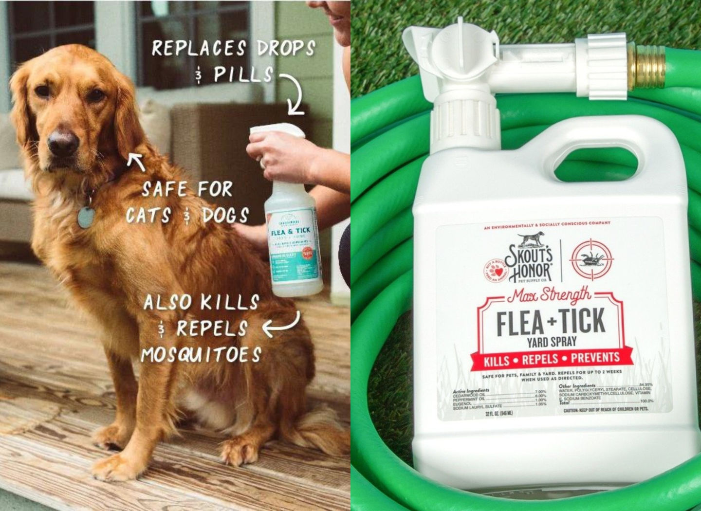 Flea Tick Prevention Omaha Nebraska