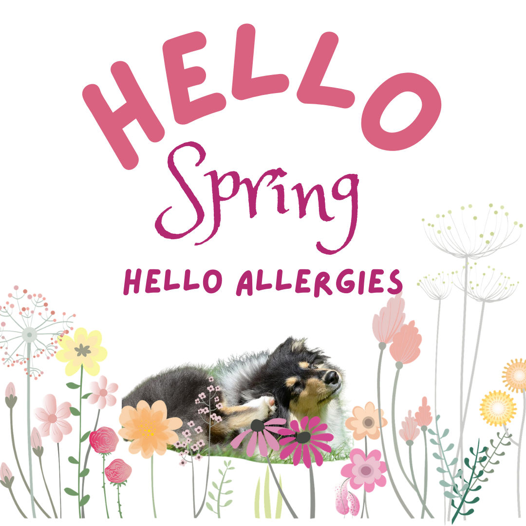 Allergies - the in's and out's