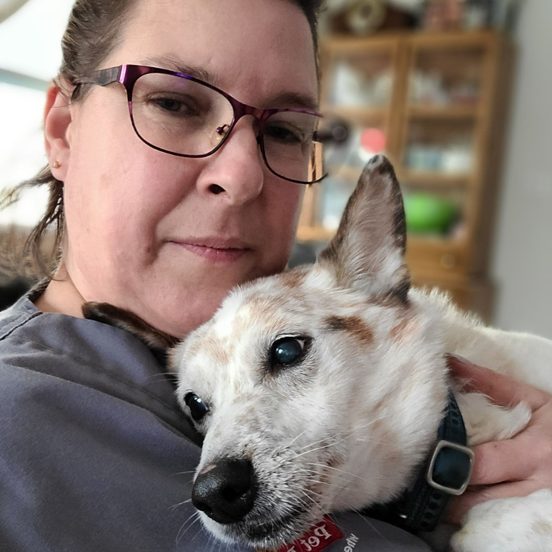 JM Team Picks: Cat & Widget