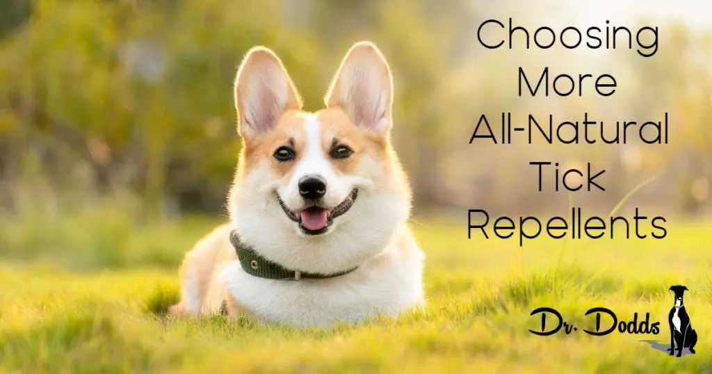 Choosing More All-Natural Tick Repellents