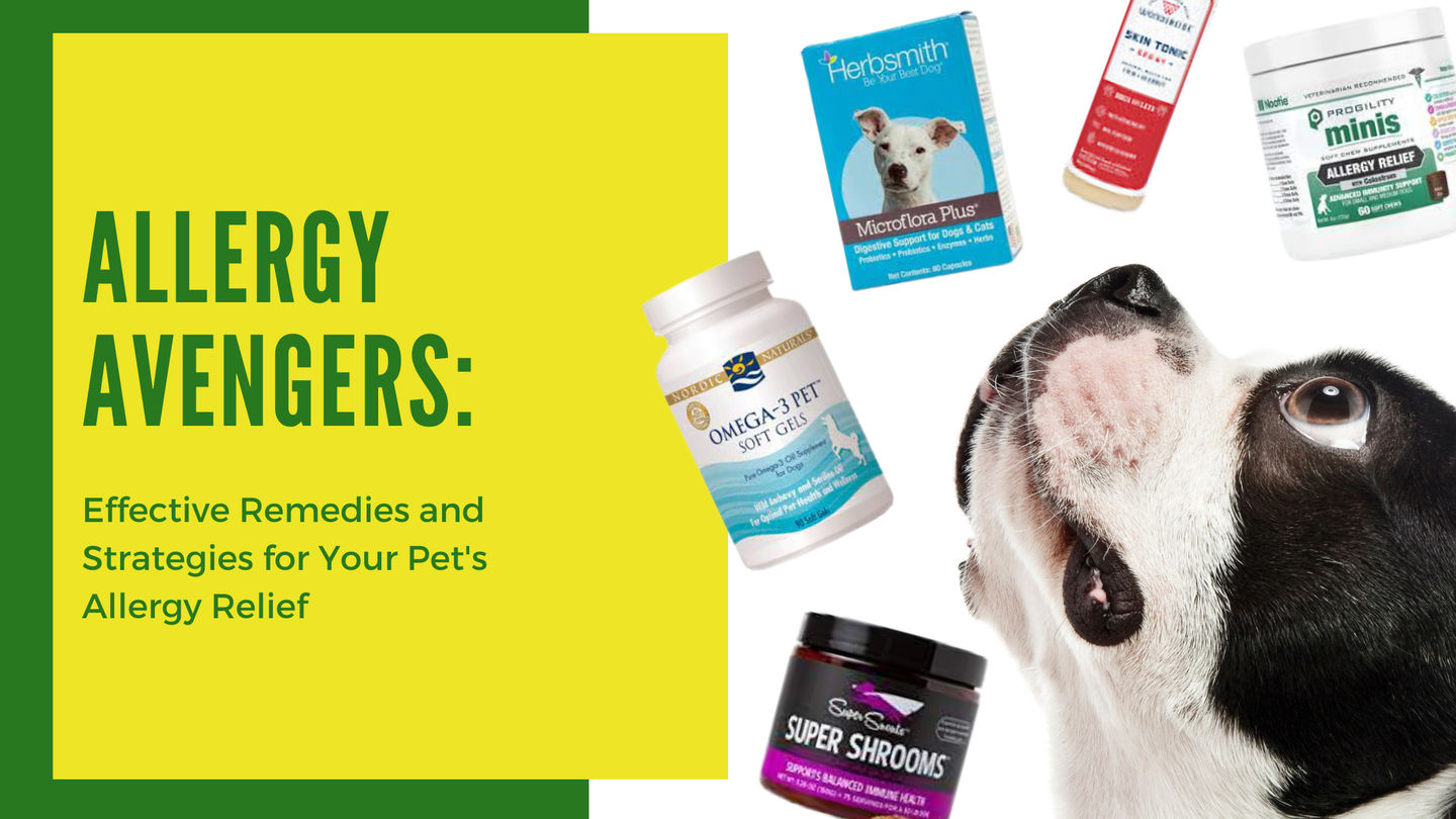 Allergy Avengers: Effective Remedies and Strategies For Your Pet's Allergy Relief