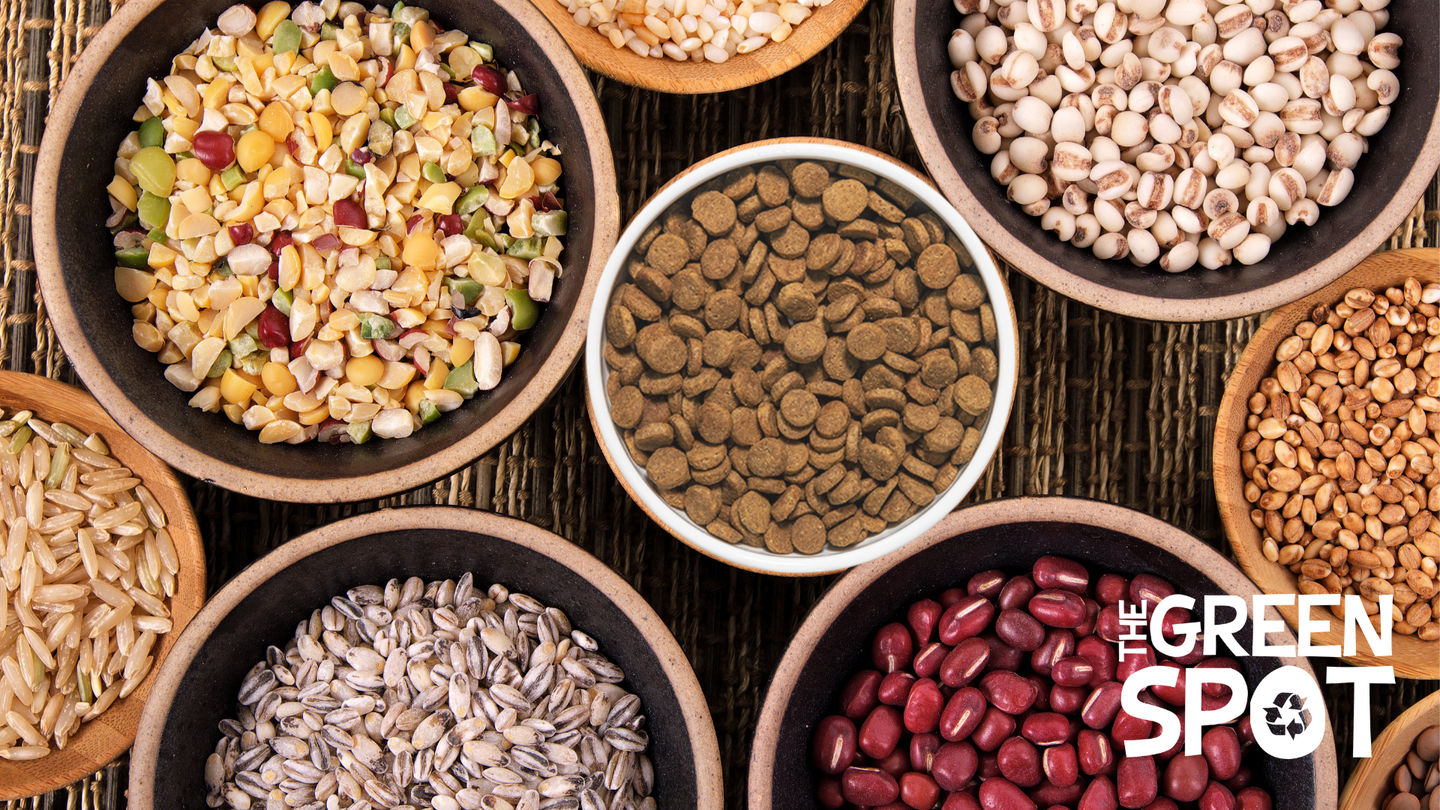 Carbohydrates in Dog & Cat Food