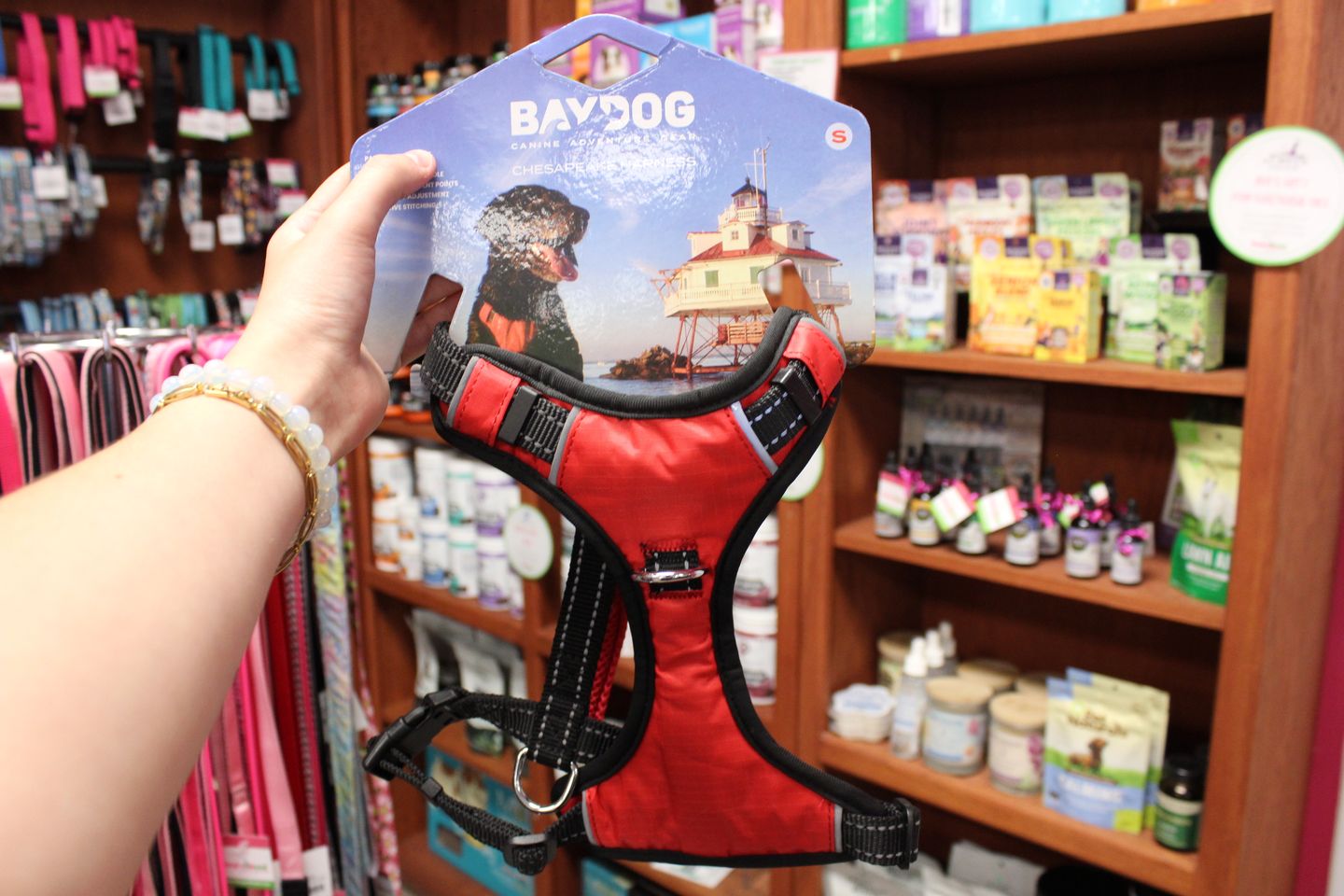 Tips and Tricks for Successful Summertime Walks