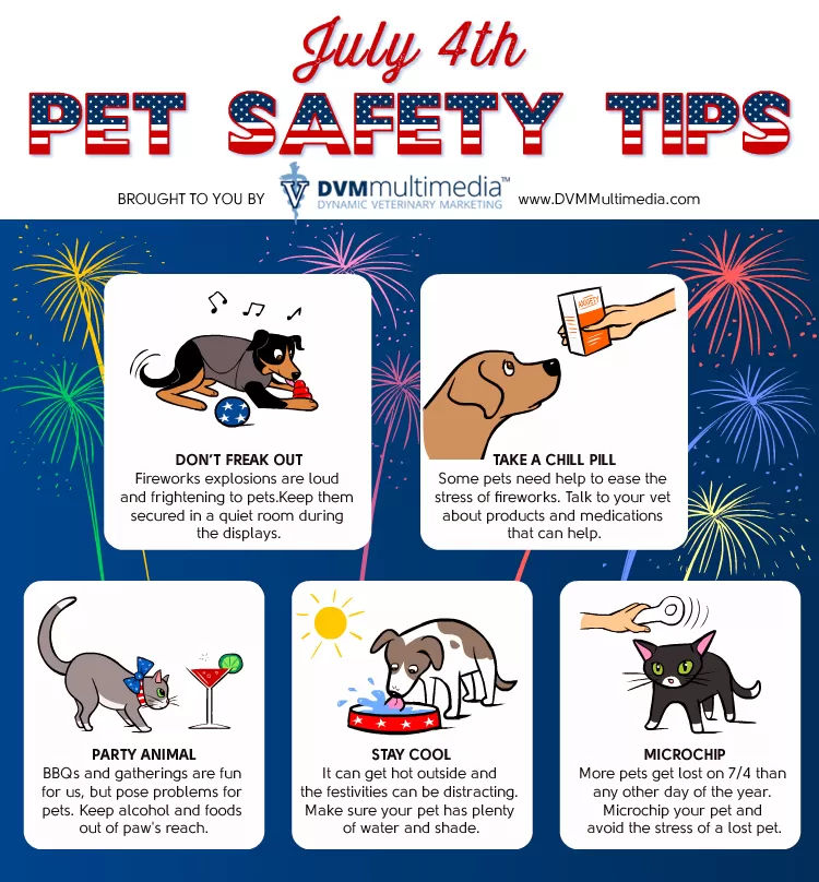 The Final Days of 4th of July Preparation...