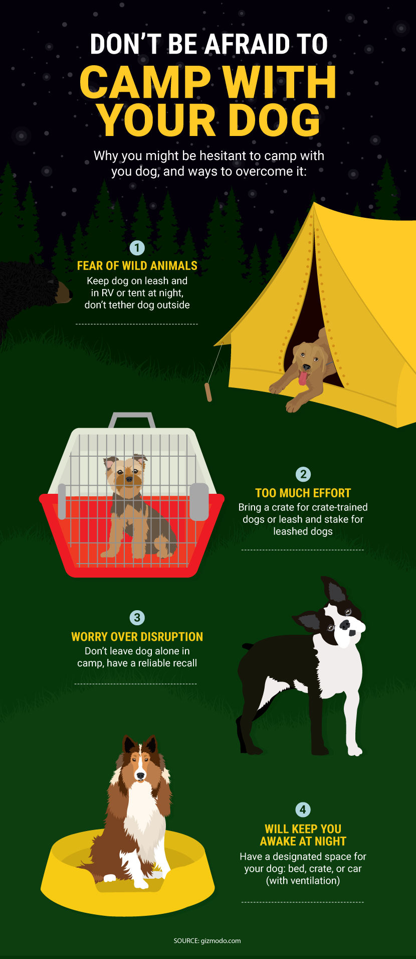 Camping with your Furry Friends: A Comprehensive Guide