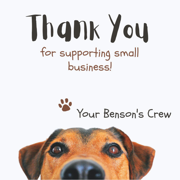 Why Shopping Small For Your Pet In Lakeland, Florida Is Best