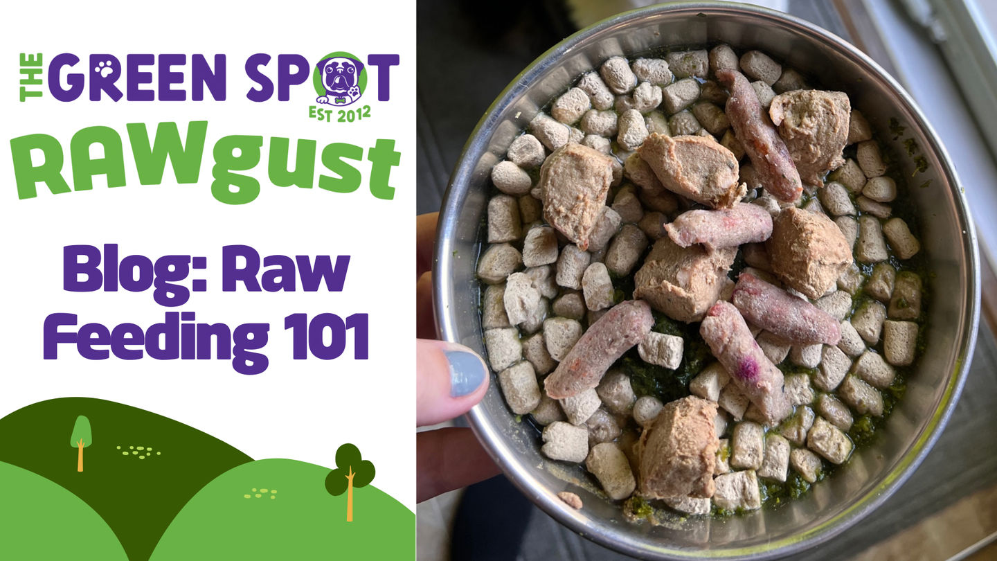 RAWgust: Raw Pet Food Feeding 101