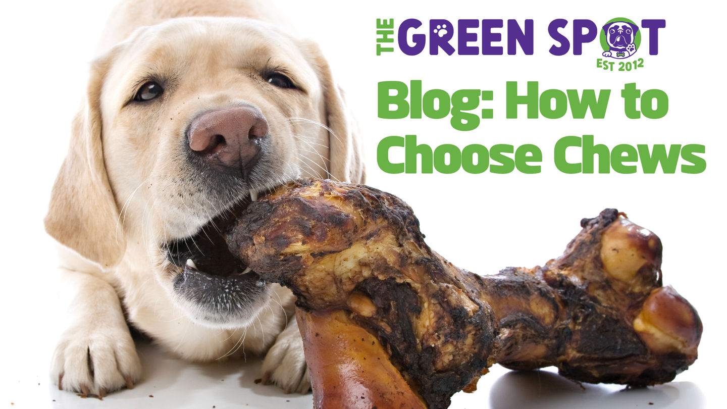 How to Choose... Chews!