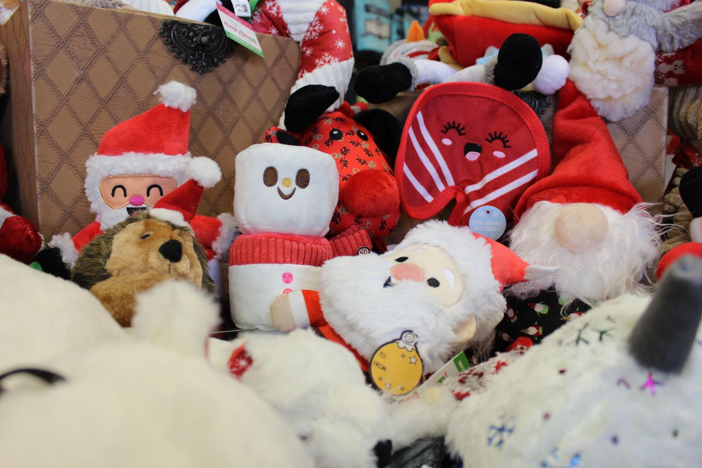 Naughty or Nice? Dog Behavior Tips for a Stress-Free Christmas