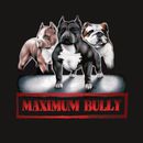 Maximum Bully Salt Lake City