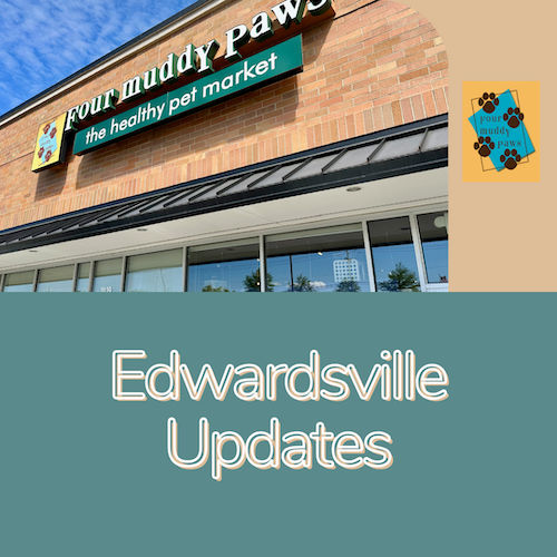 Edwardsville Updates November 2023 Edwardsville, Illinois