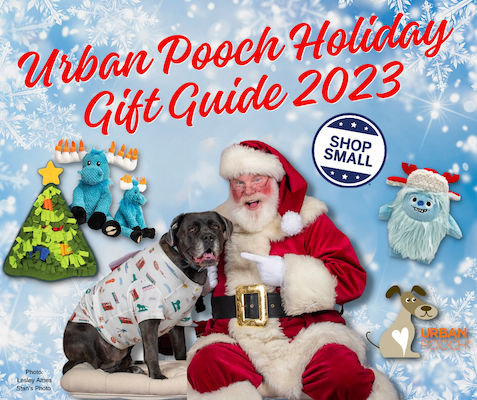 Chicago Small Business Gift Guide 2021 - The Chicago Good Life