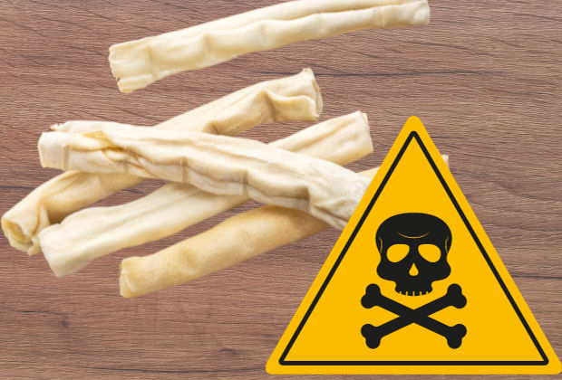 Hidden Dangers of Rawhide