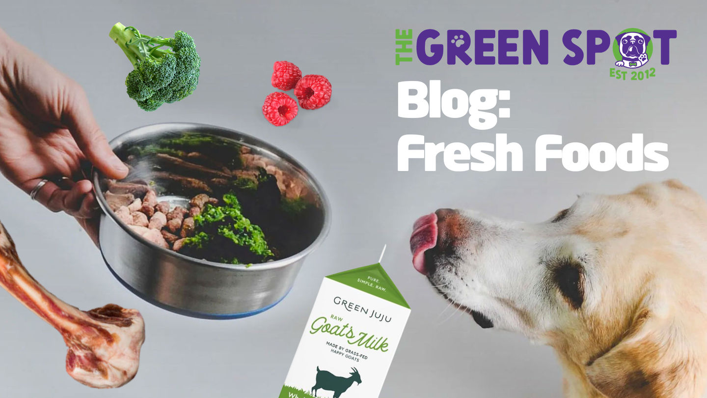 Fresh New Year, Fresh Foods!