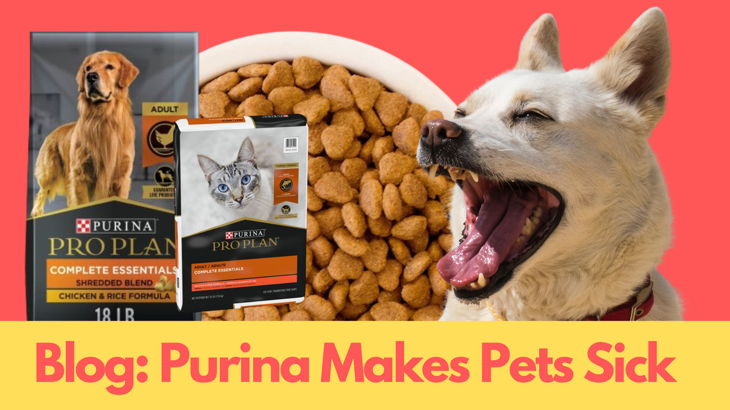 Purina pro plan hotsell making dogs sick