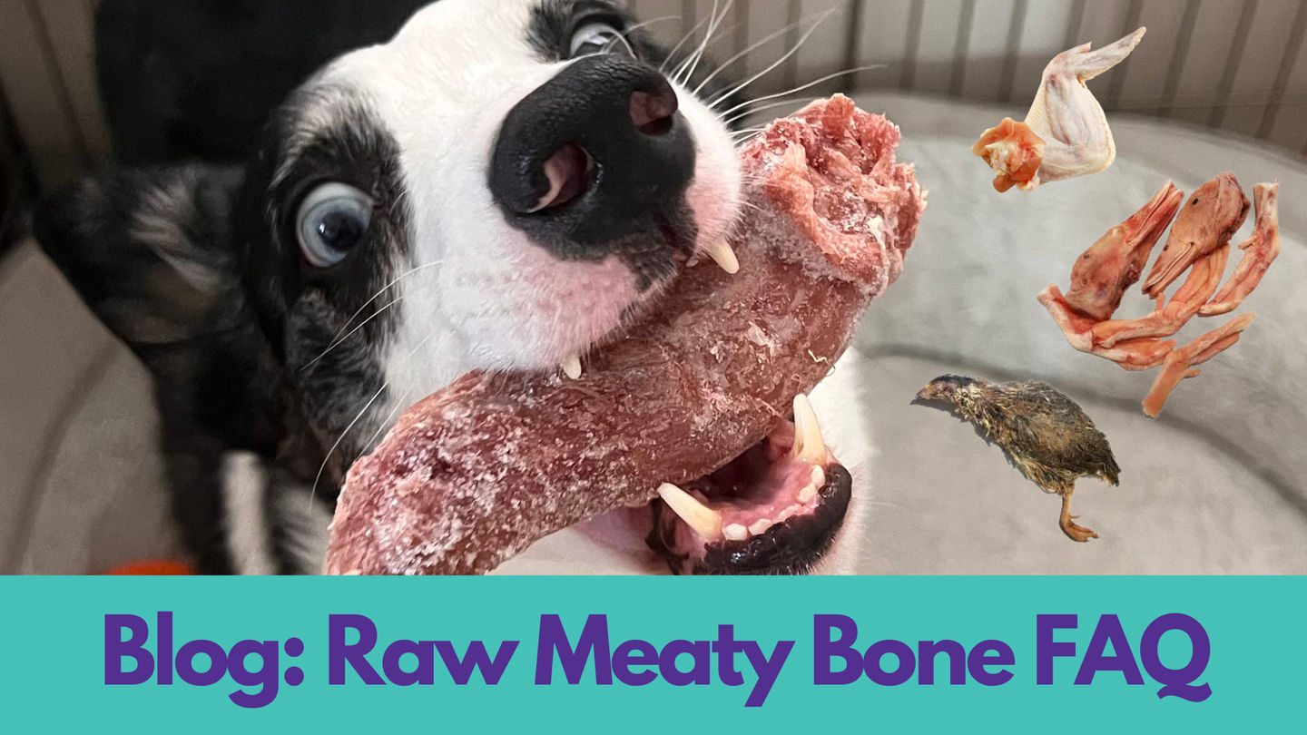 Raw Meaty Bones FAQ