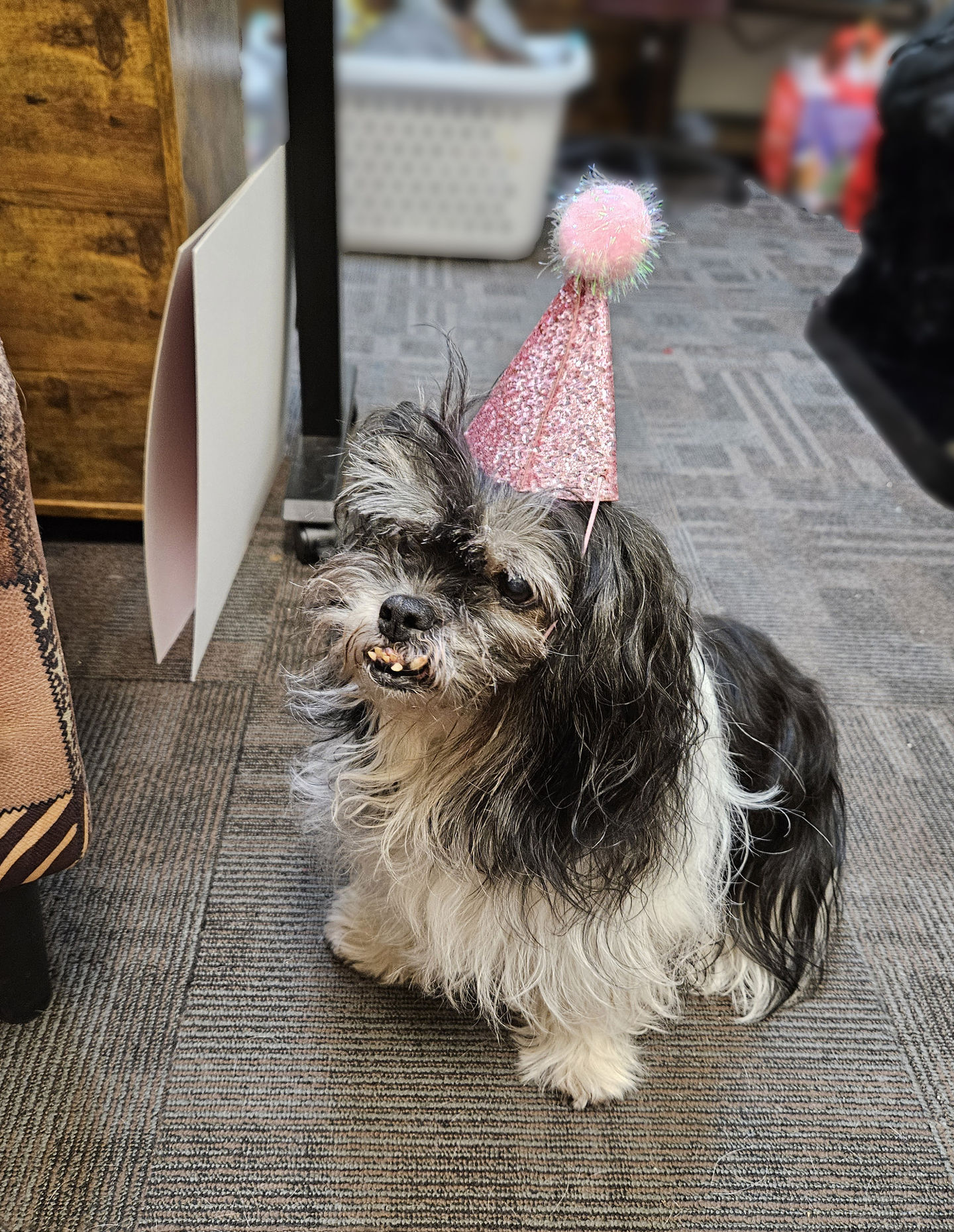 Do You Live With a Golden Oldie?