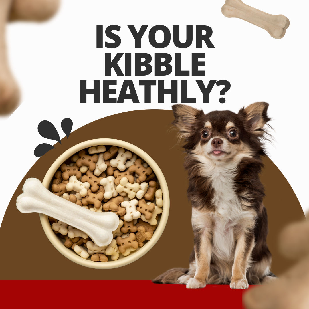 Is Your Kibble Heathly?