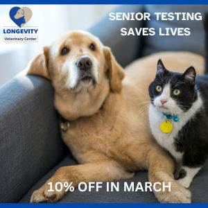 Image of blog post Why Senior Pet Testing Matters